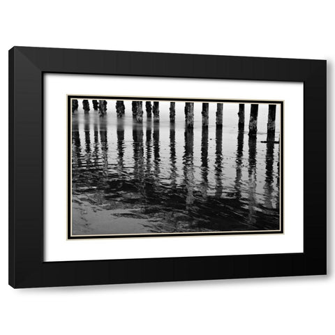 Pier Pilings XV Black Modern Wood Framed Art Print with Double Matting by Peterson, Lee
