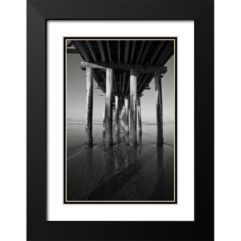 Pier Pilings XVI Black Modern Wood Framed Art Print with Double Matting by Peterson, Lee