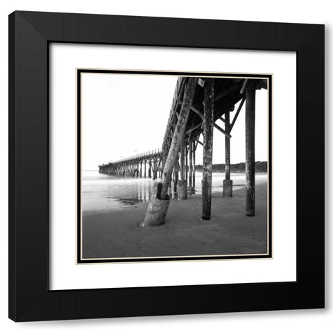 Pier Pilings XIX Black Modern Wood Framed Art Print with Double Matting by Peterson, Lee