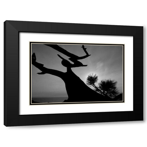 Tree I Black Modern Wood Framed Art Print with Double Matting by Peterson, Lee