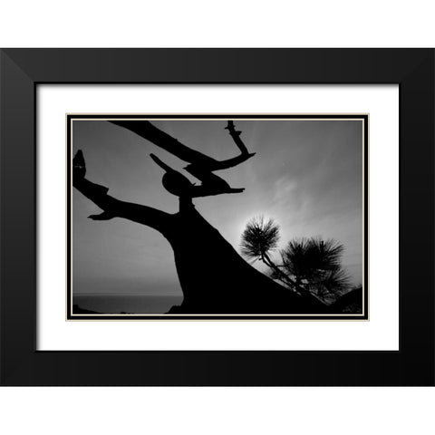 Tree I Black Modern Wood Framed Art Print with Double Matting by Peterson, Lee