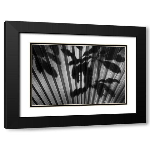Shadow III Black Modern Wood Framed Art Print with Double Matting by Peterson, Lee