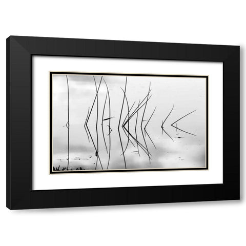 Reeds I Black Modern Wood Framed Art Print with Double Matting by Peterson, Lee