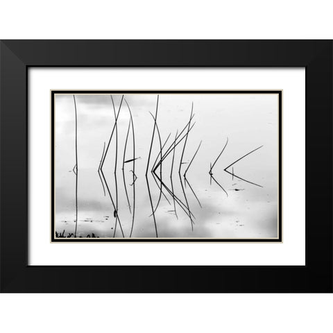 Reeds I Black Modern Wood Framed Art Print with Double Matting by Peterson, Lee