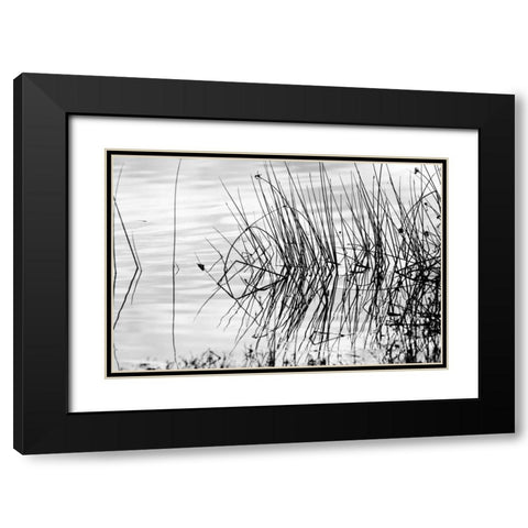 Reeds II Black Modern Wood Framed Art Print with Double Matting by Peterson, Lee
