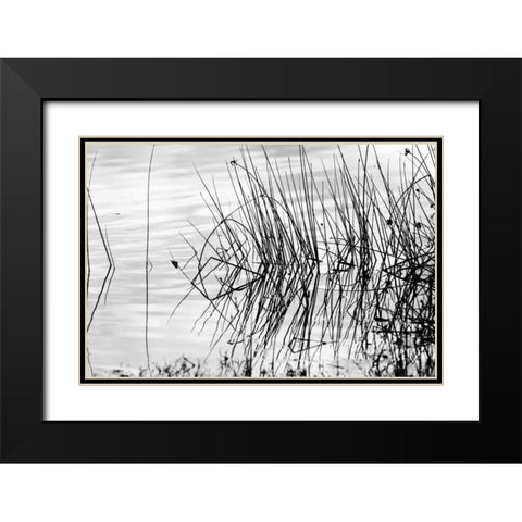 Reeds II Black Modern Wood Framed Art Print with Double Matting by Peterson, Lee