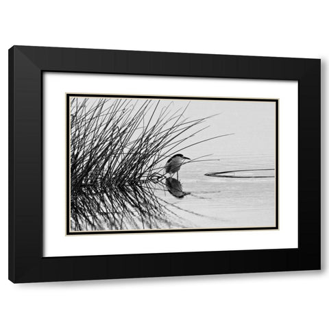 Bird I Black Modern Wood Framed Art Print with Double Matting by Peterson, Lee