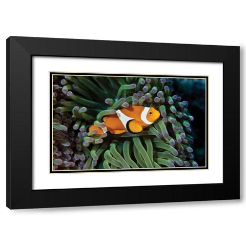 Fish III Black Modern Wood Framed Art Print with Double Matting by Peterson, Lee