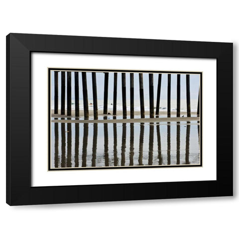 Pier Pilings II3 Black Modern Wood Framed Art Print with Double Matting by Peterson, Lee
