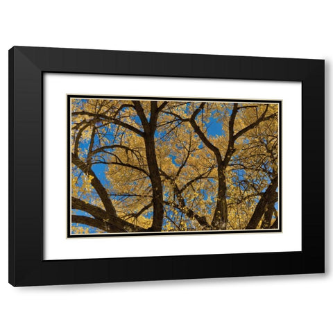 Fall Leaves VII Black Modern Wood Framed Art Print with Double Matting by Peterson, Lee