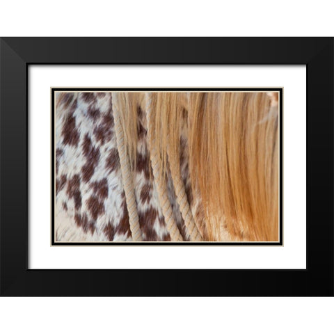 Horse Up Close II Black Modern Wood Framed Art Print with Double Matting by Peterson, Lee