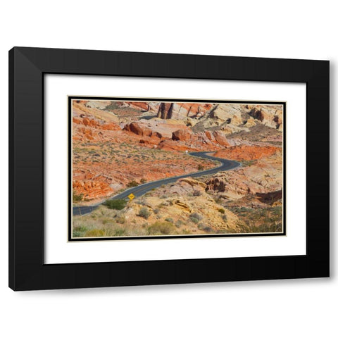 Desert Roads II Black Modern Wood Framed Art Print with Double Matting by Peterson, Lee