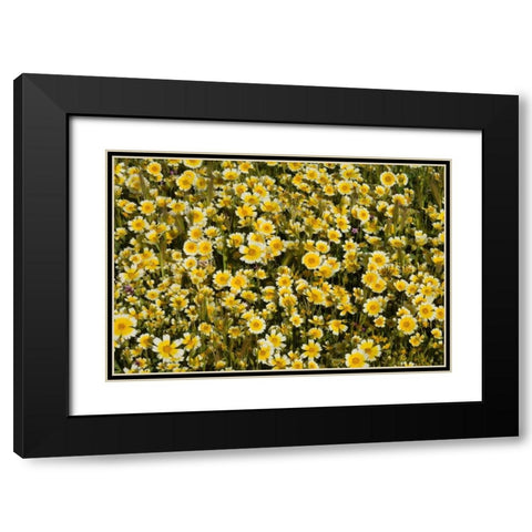 Yellow and White I Black Modern Wood Framed Art Print with Double Matting by Peterson, Lee