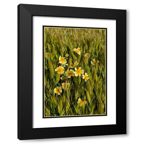 Yellow and White III Black Modern Wood Framed Art Print with Double Matting by Peterson, Lee
