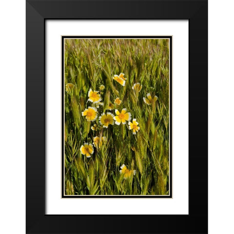 Yellow and White III Black Modern Wood Framed Art Print with Double Matting by Peterson, Lee