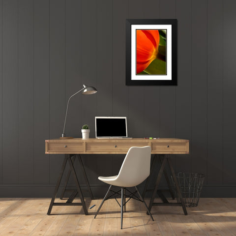 Tulip Detail II Black Modern Wood Framed Art Print with Double Matting by Peterson, Lee