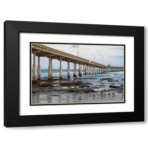 Ocean Beach Pier I Black Modern Wood Framed Art Print with Double Matting by Peterson, Lee