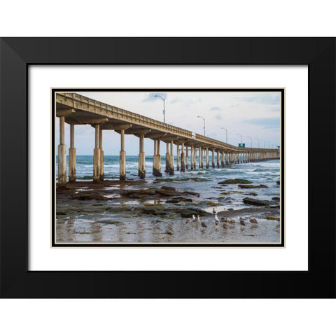 Ocean Beach Pier I Black Modern Wood Framed Art Print with Double Matting by Peterson, Lee