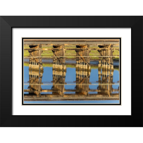 Railroad Bridge Reflection Black Modern Wood Framed Art Print with Double Matting by Peterson, Lee