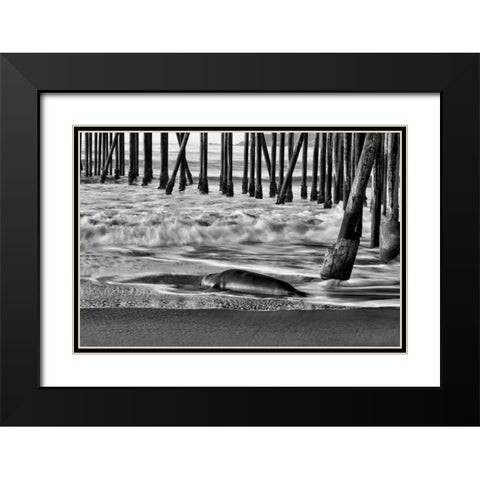 San Simeon Pier BW Black Modern Wood Framed Art Print with Double Matting by Peterson, Lee