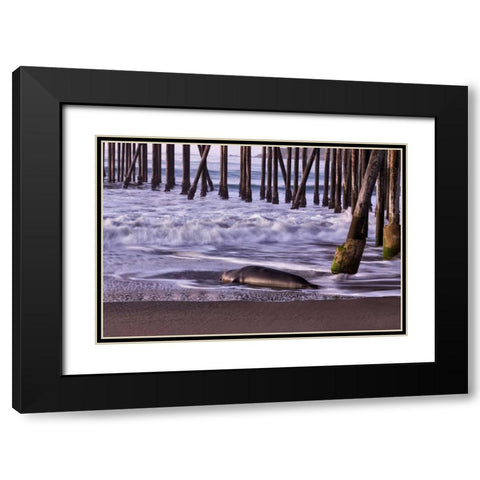 San Simeon Pier I Black Modern Wood Framed Art Print with Double Matting by Peterson, Lee