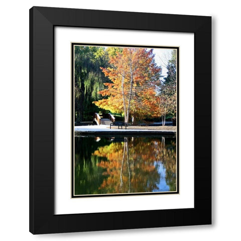 Fall Colors Black Modern Wood Framed Art Print with Double Matting by Putman, Tammy