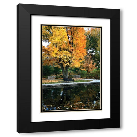 Fall in the Park Black Modern Wood Framed Art Print with Double Matting by Putman, Tammy