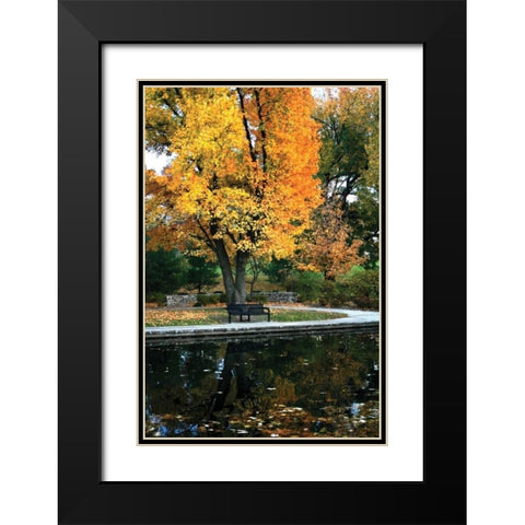 Fall in the Park Black Modern Wood Framed Art Print with Double Matting by Putman, Tammy