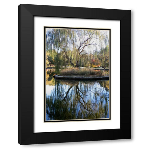Willow in Fall Black Modern Wood Framed Art Print with Double Matting by Putman, Tammy