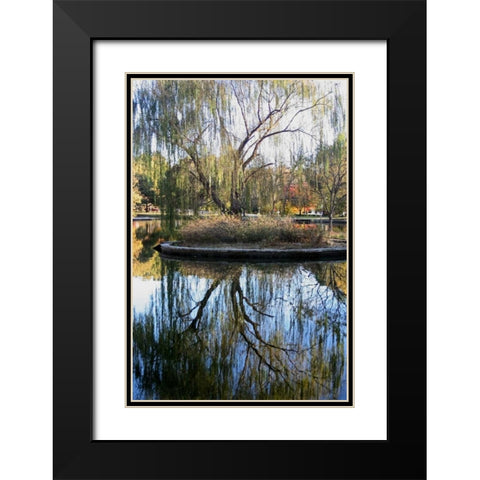 Willow in Fall Black Modern Wood Framed Art Print with Double Matting by Putman, Tammy
