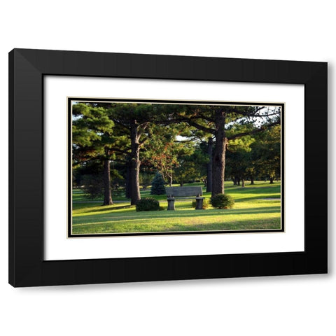 Bench I Black Modern Wood Framed Art Print with Double Matting by Putman, Tammy