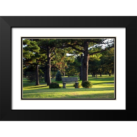 Bench I Black Modern Wood Framed Art Print with Double Matting by Putman, Tammy