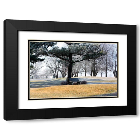 Bench II Black Modern Wood Framed Art Print with Double Matting by Putman, Tammy