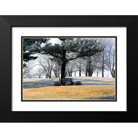 Bench II Black Modern Wood Framed Art Print with Double Matting by Putman, Tammy