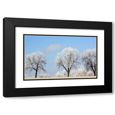 Frozen Fog I Black Modern Wood Framed Art Print with Double Matting by Putman, Tammy
