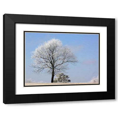Frozen Fog II Black Modern Wood Framed Art Print with Double Matting by Putman, Tammy