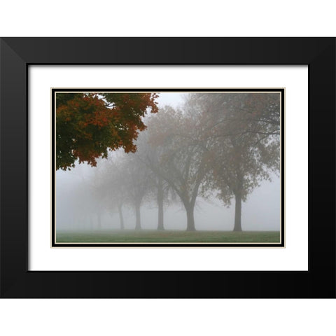 Foggy Trees I Black Modern Wood Framed Art Print with Double Matting by Putman, Tammy