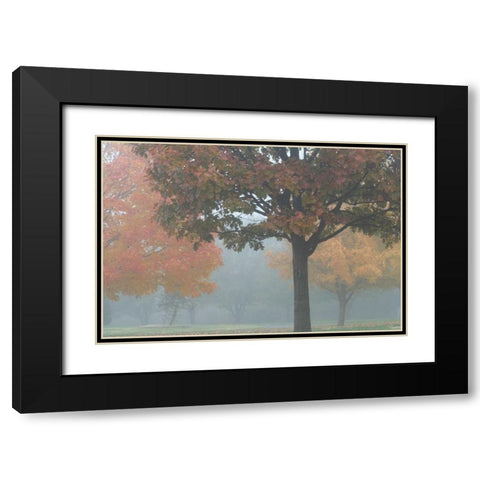 Foggy Trees II Black Modern Wood Framed Art Print with Double Matting by Putman, Tammy