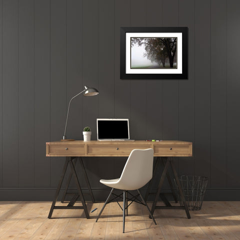 Foggy Trees III Black Modern Wood Framed Art Print with Double Matting by Putman, Tammy
