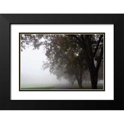 Foggy Trees III Black Modern Wood Framed Art Print with Double Matting by Putman, Tammy