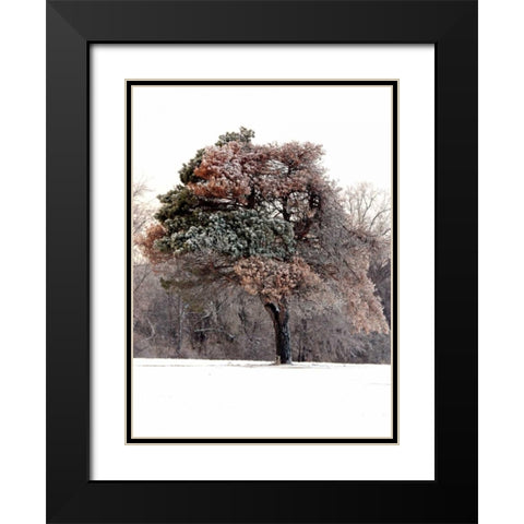 Tree in Snow I Black Modern Wood Framed Art Print with Double Matting by Putman, Tammy