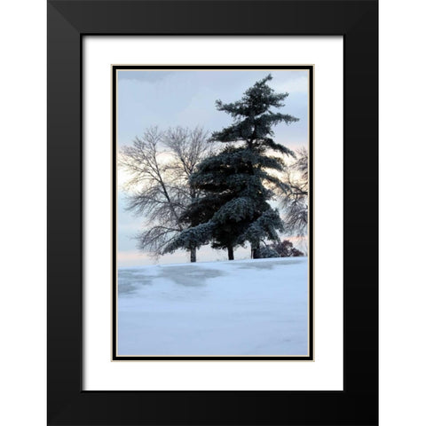 Tree in Snow II Black Modern Wood Framed Art Print with Double Matting by Putman, Tammy