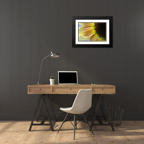 Sunflower III Black Modern Wood Framed Art Print with Double Matting by Putman, Tammy