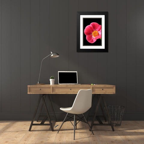 Pink Peony I Black Modern Wood Framed Art Print with Double Matting by Putman, Tammy