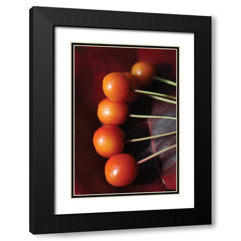Berries I Black Modern Wood Framed Art Print with Double Matting by Putman, Tammy