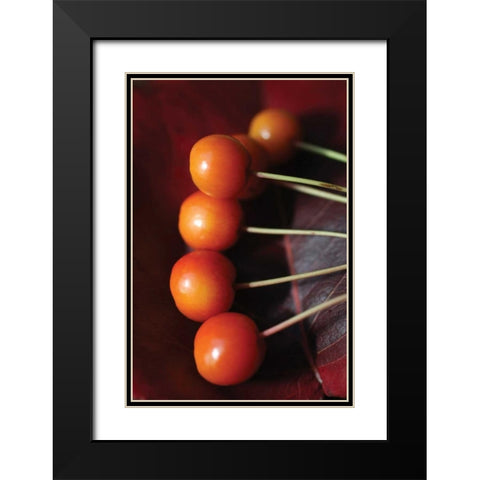 Berries I Black Modern Wood Framed Art Print with Double Matting by Putman, Tammy