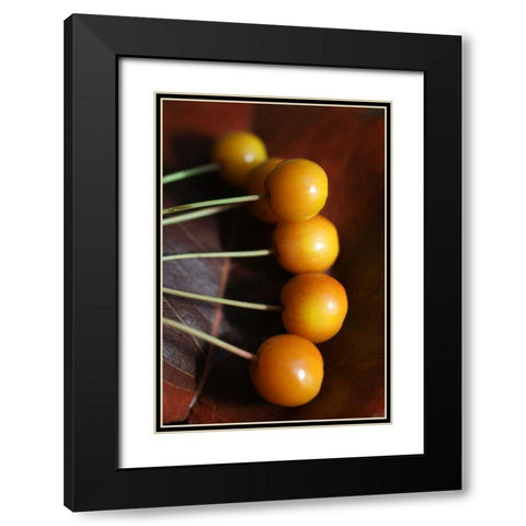Berries II Black Modern Wood Framed Art Print with Double Matting by Putman, Tammy