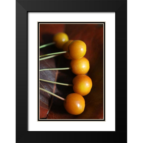 Berries II Black Modern Wood Framed Art Print with Double Matting by Putman, Tammy