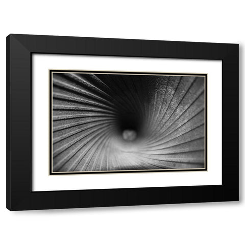 Inside a Howitzer Black Modern Wood Framed Art Print with Double Matting by Putman, Tammy