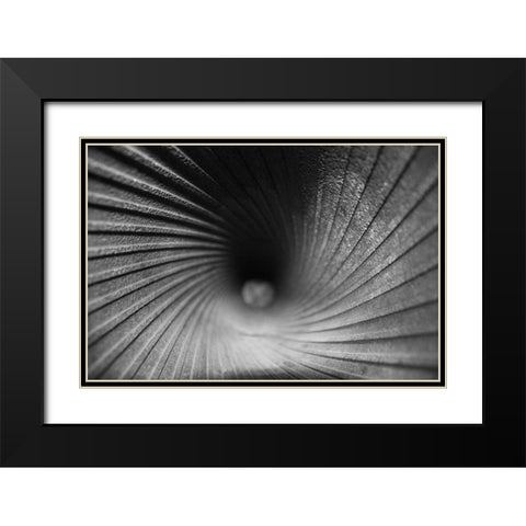 Inside a Howitzer Black Modern Wood Framed Art Print with Double Matting by Putman, Tammy